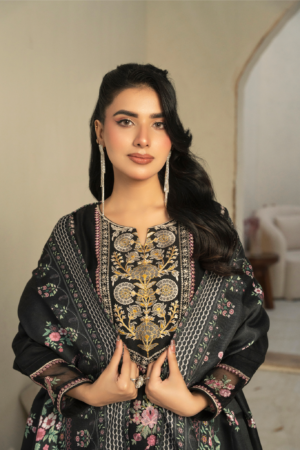 3 Piece Dhanak suit (Pret)