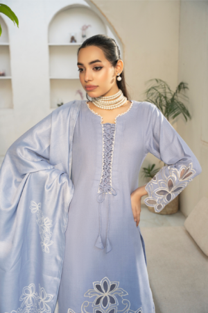 3 Piece Dhanak suit (Pret)