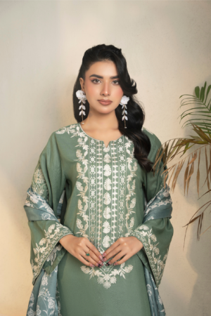 3 Piece Dhanak suit (Pret)